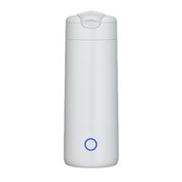 BOLLITORE ELETTRICO PORTATILE